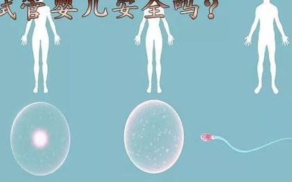 安徽做试管婴儿成功率很高的医院排行榜前十