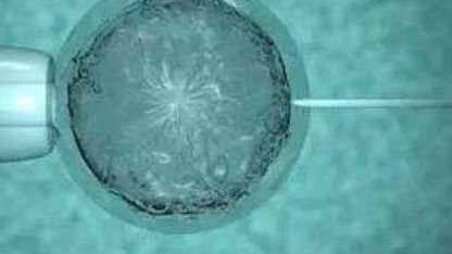 卵巢早衰不再阻碍试管梦，30秒了解成功治疗过程