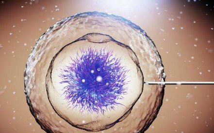 22岁女性想做一代试管能成功吗？