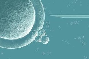 大连能做试管婴儿吗？大连试管婴儿费用大概要多少钱？